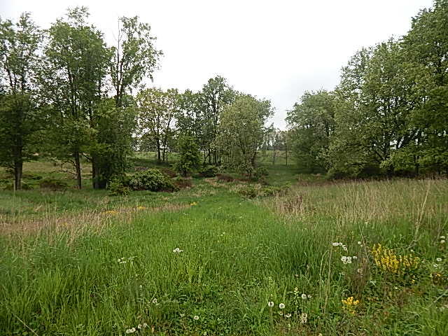 9500 Jones Road Bellevue, MI 49021 - Photo 28 of 35 DSCN1352