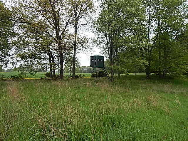 9500 Jones Road Bellevue, MI 49021 - Photo 29 of 35 DSCN1353