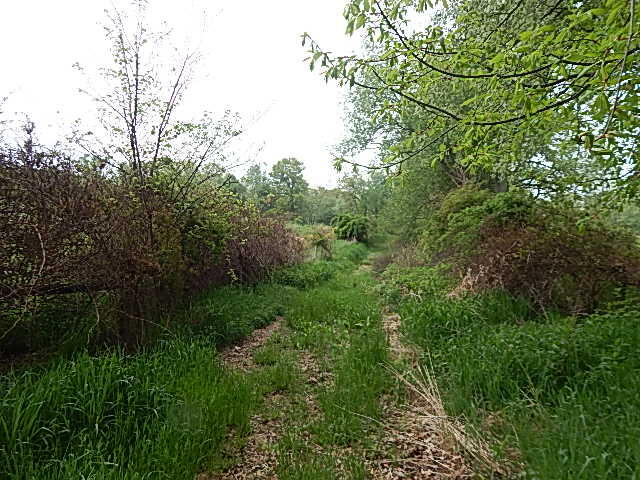 9500 Jones Road Bellevue, MI 49021 - Photo 32 of 35 DSCN1356