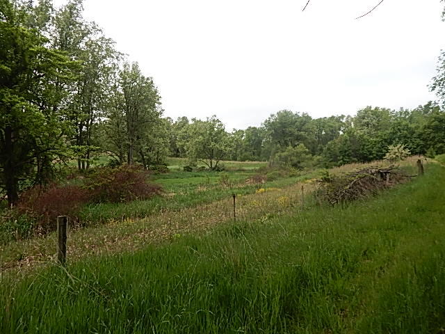 9500 Jones Road Bellevue, MI 49021 - Photo 33 of 35 DSCN1357