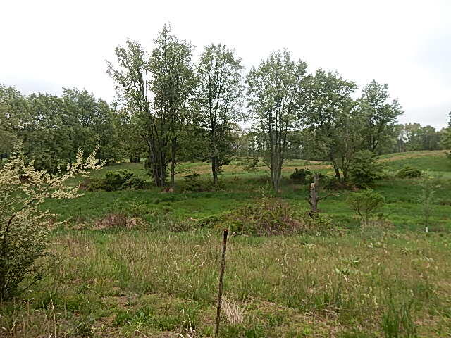 9500 Jones Road Bellevue, MI 49021 - Photo 35 of 35 DSCN1359