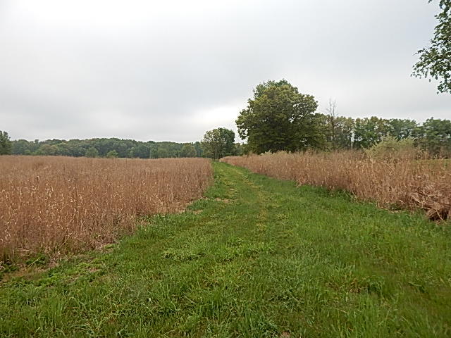 9500 Jones Road Bellevue, MI 49021 - Photo 4 of 35 DSCN1328