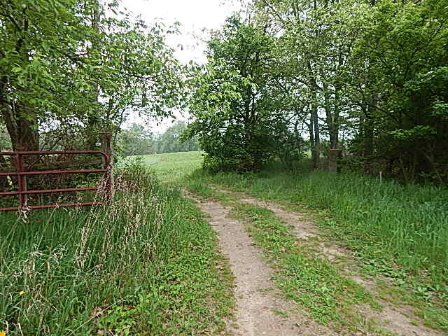 9500 Jones Road Bellevue, MI 49021 - Photo 5 of 35 DSCN1329