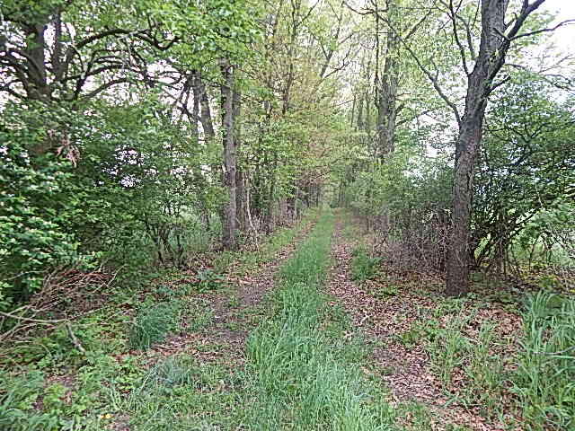 9500 Jones Road Bellevue, MI 49021 - Photo 6 of 35 DSCN1330