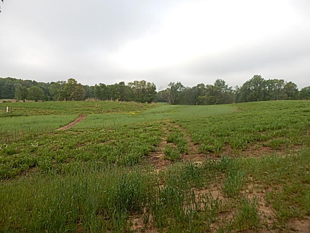 9500 Jones Road Bellevue, MI 49021 - Photo 7 of 35 DSCN1331