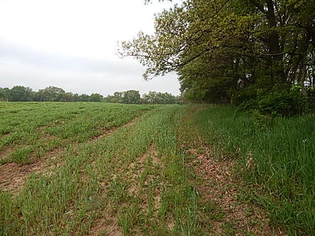 9500 Jones Road Bellevue, MI 49021 - Photo 9 of 35 DSCN1333
