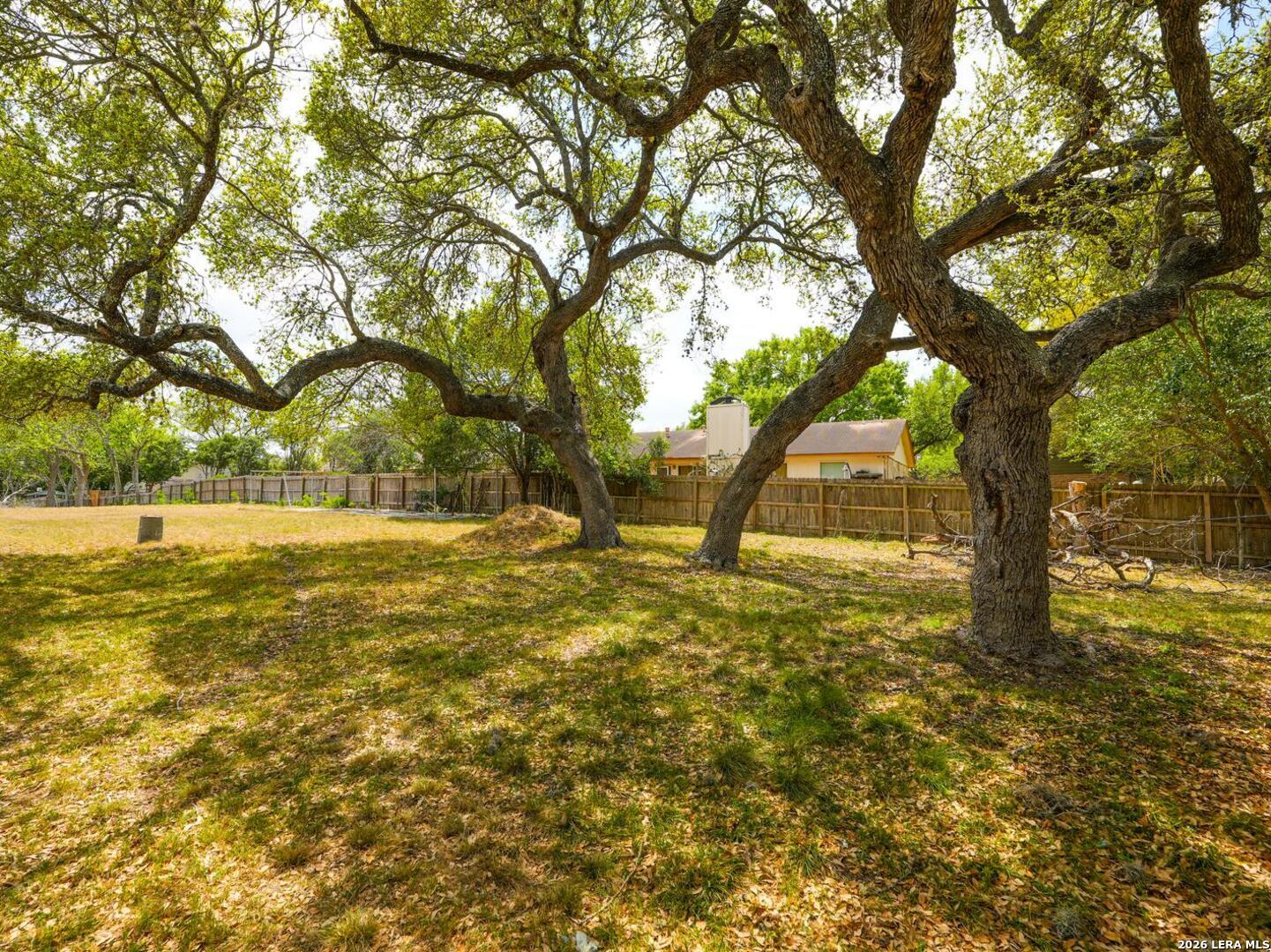 137 Kitty Hawk Road Universal City, TX 78148 - Photo 20 of 25 a view of yard with trees