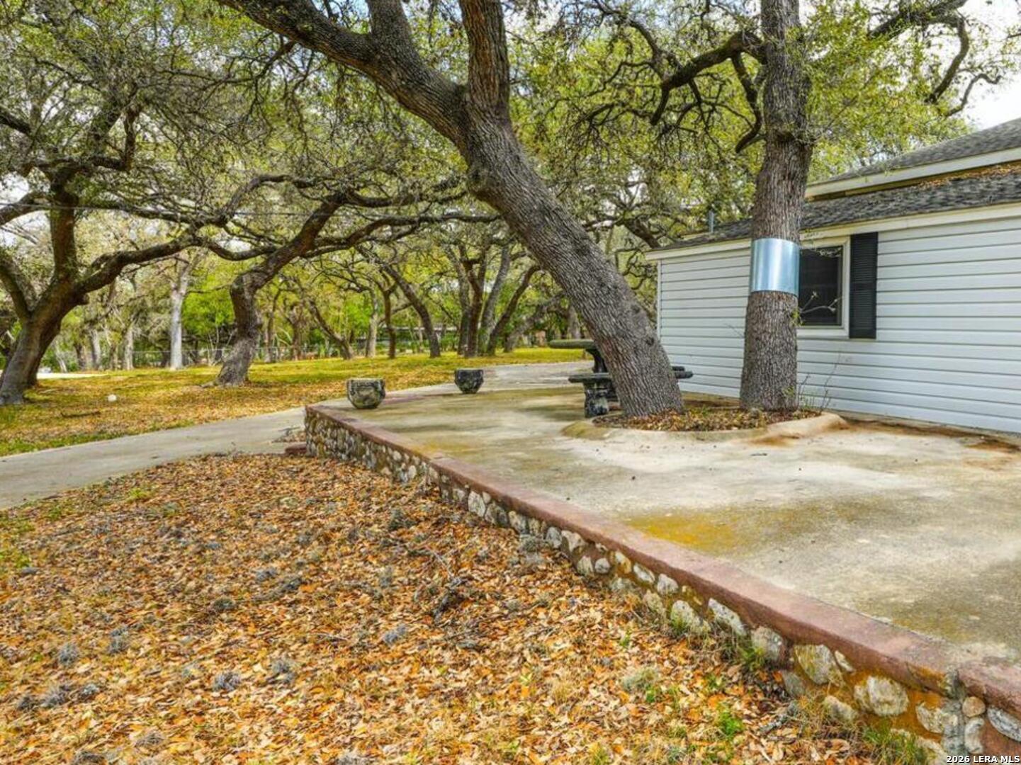 137 Kitty Hawk Road Universal City, TX 78148 - Photo 8 of 25 a view of yard with tree