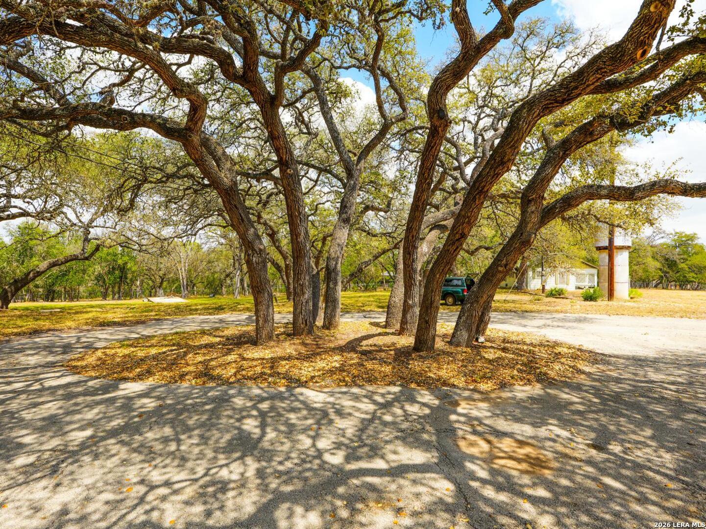 137 Kitty Hawk Road Universal City, TX 78148 - Photo 9 of 25 a view of a yard with trees
