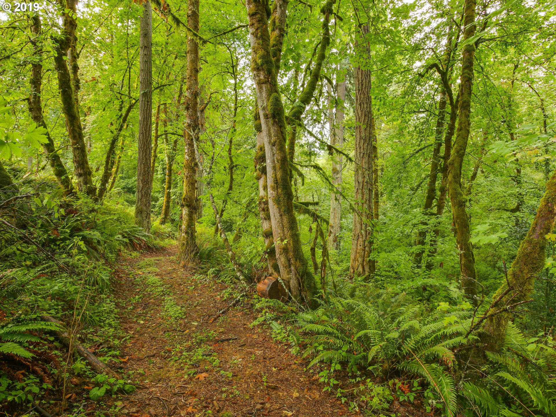 0 South Redland Road Oregon City, OR 97045 - Photo 1 of 7 Gallery Image 1