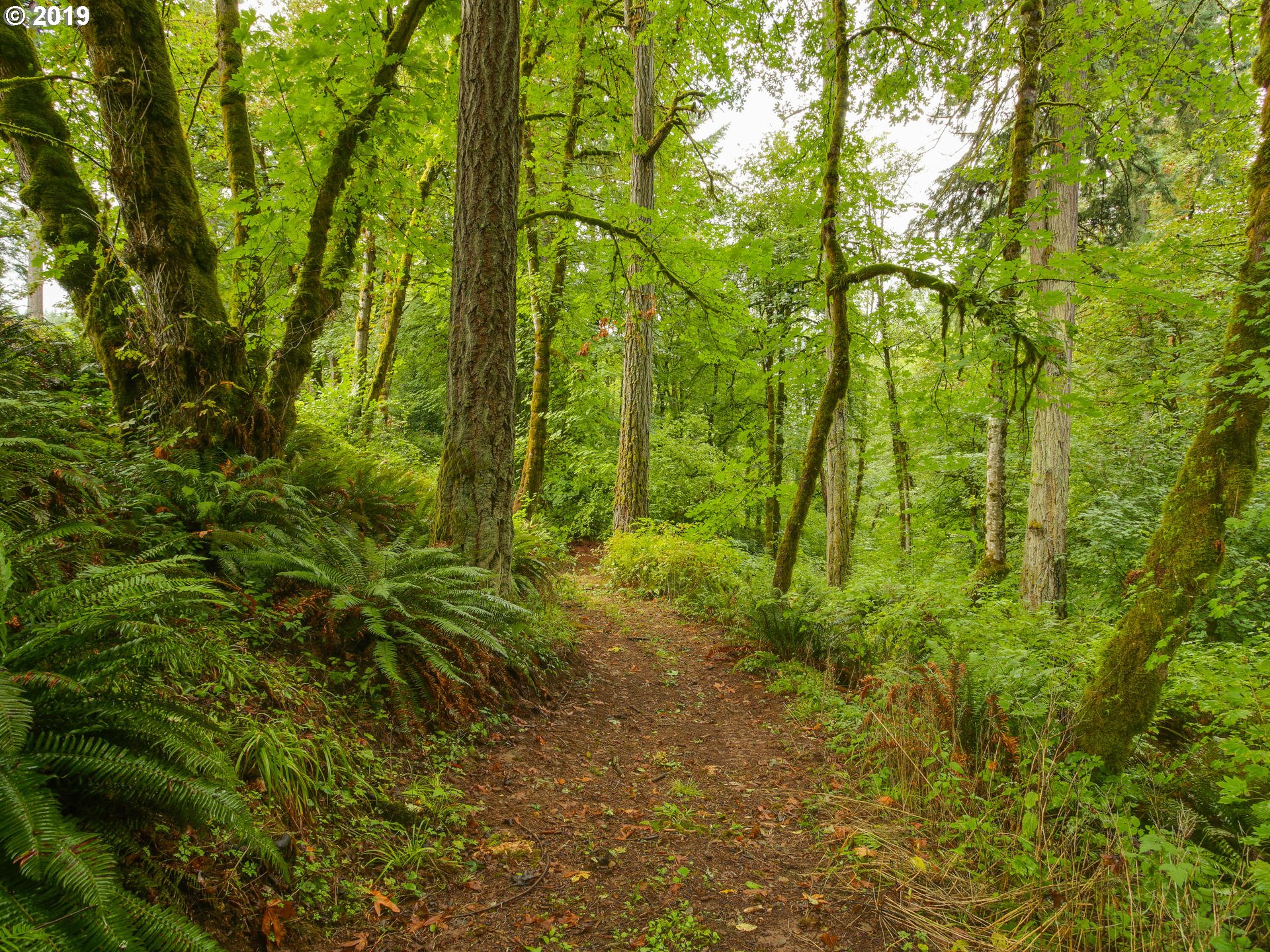 0 South Redland Road Oregon City, OR 97045 - Photo 2 of 7 Gallery Image 2