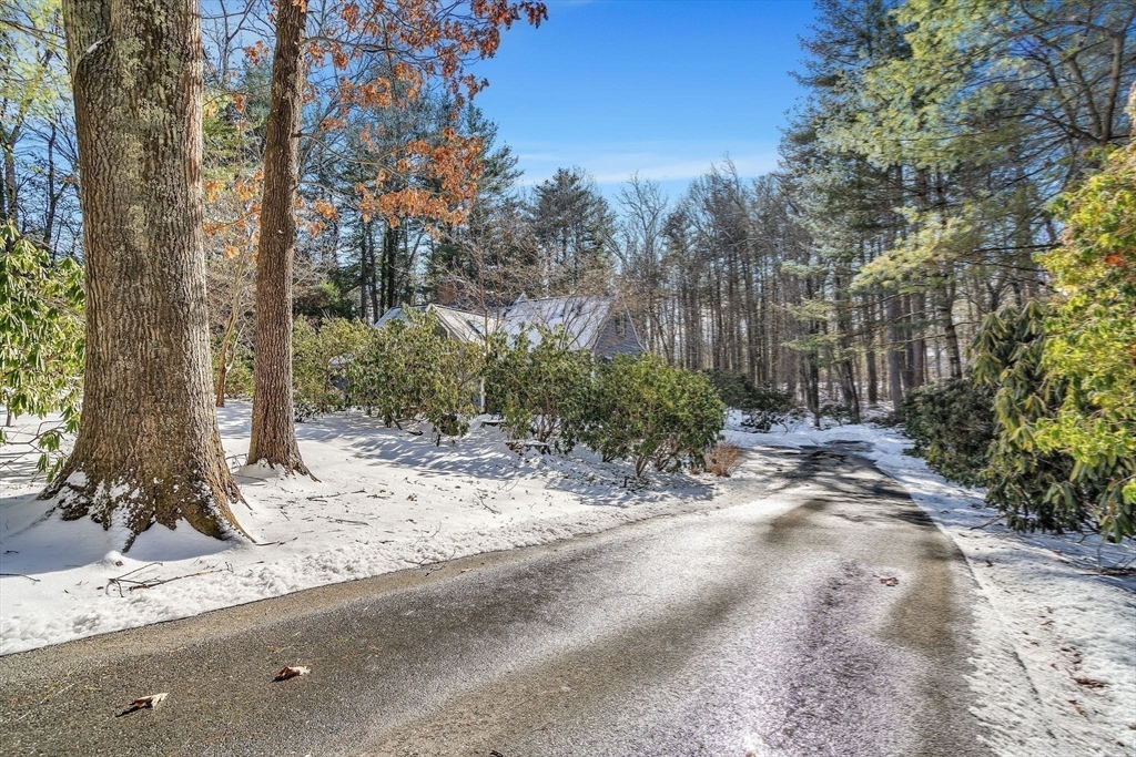 19 Sears Road Wayland, MA 01778 - Photo 34 of 42 a view of a tree in the middle of a yard