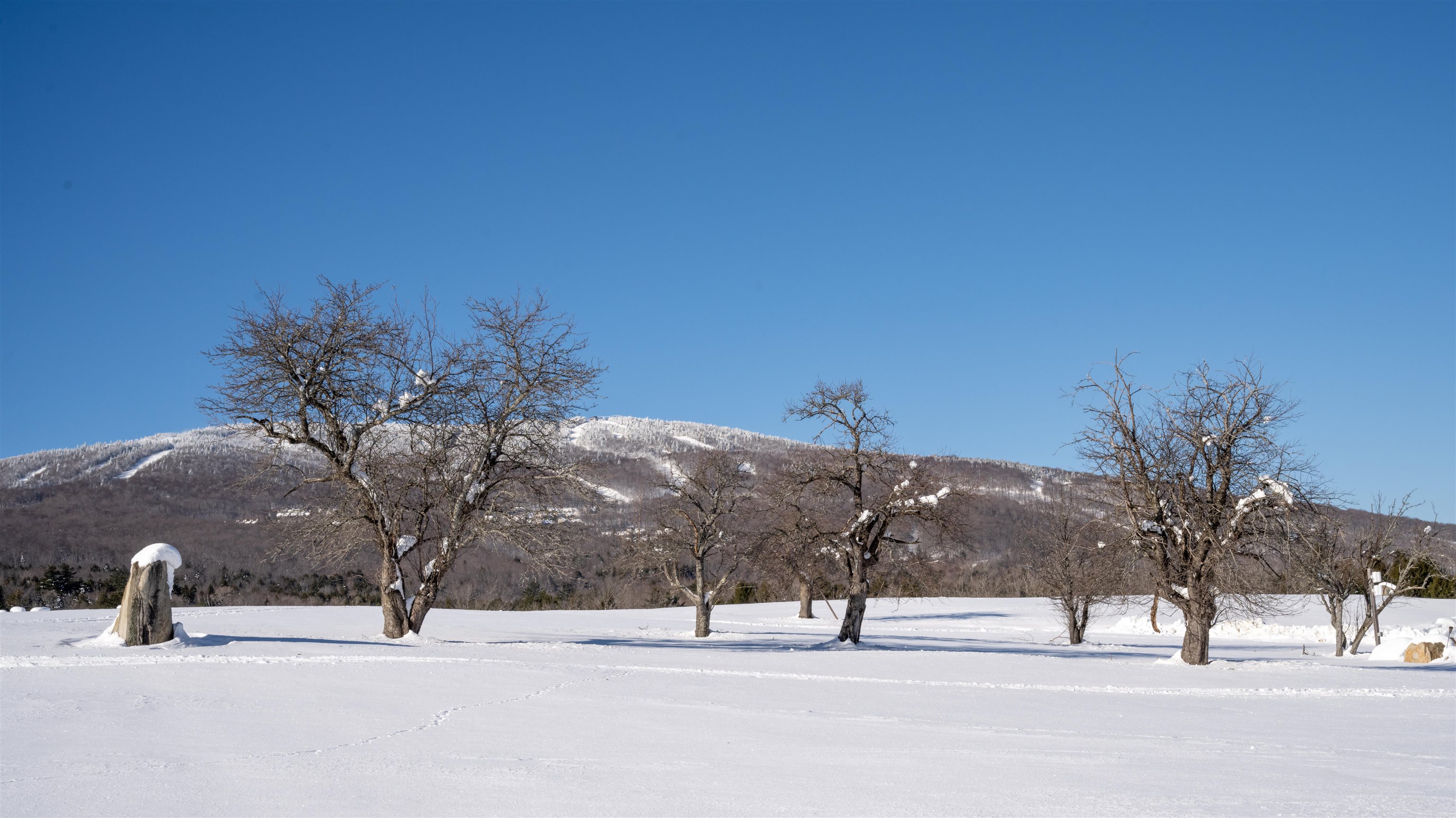85 Pallottas Hill Road Ludlow, VT 05149 - Photo 23 of 39