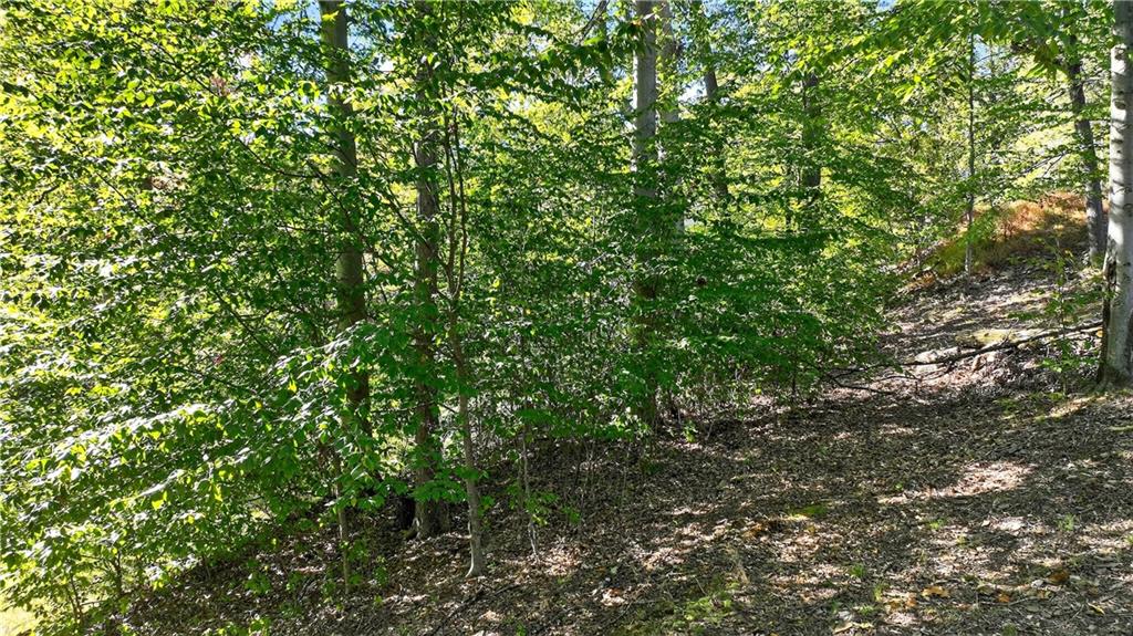 Lot Dover Crest Eighty Four, PA 15330 - Photo 11 of 12 a view of a lush green forest