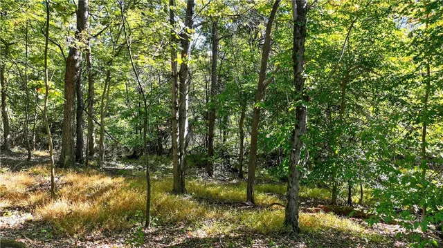 $55,000 | Lot Dover Crest, Eighty Four, PA 15330