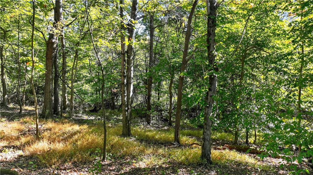 Lot Dover Crest Eighty Four, PA 15330 - Photo 12 of 12 a backyard of a house with lots of green space