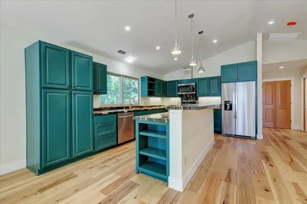 a view of a forest filled with trees