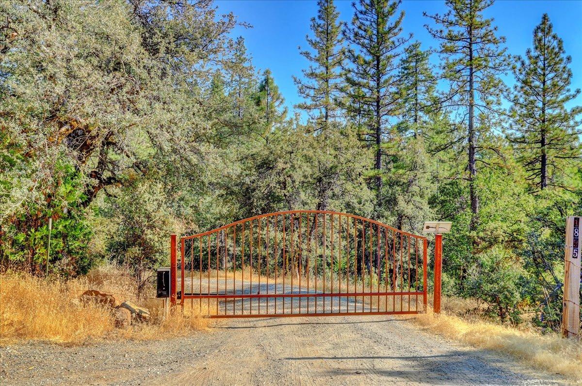 18955 Lake City Road Nevada City, CA 95959 - Photo 78 of 99 a view of a pathway of a building