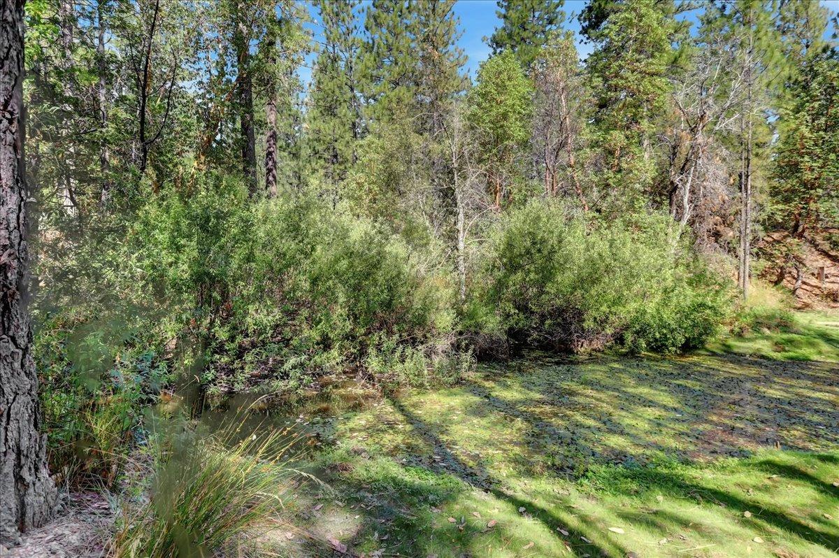 18955 Lake City Road Nevada City, CA 95959 - Photo 88 of 99