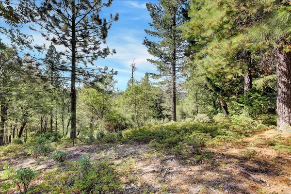 $2,400,000 | 18955 Lake City Road, Nevada City, CA 95959