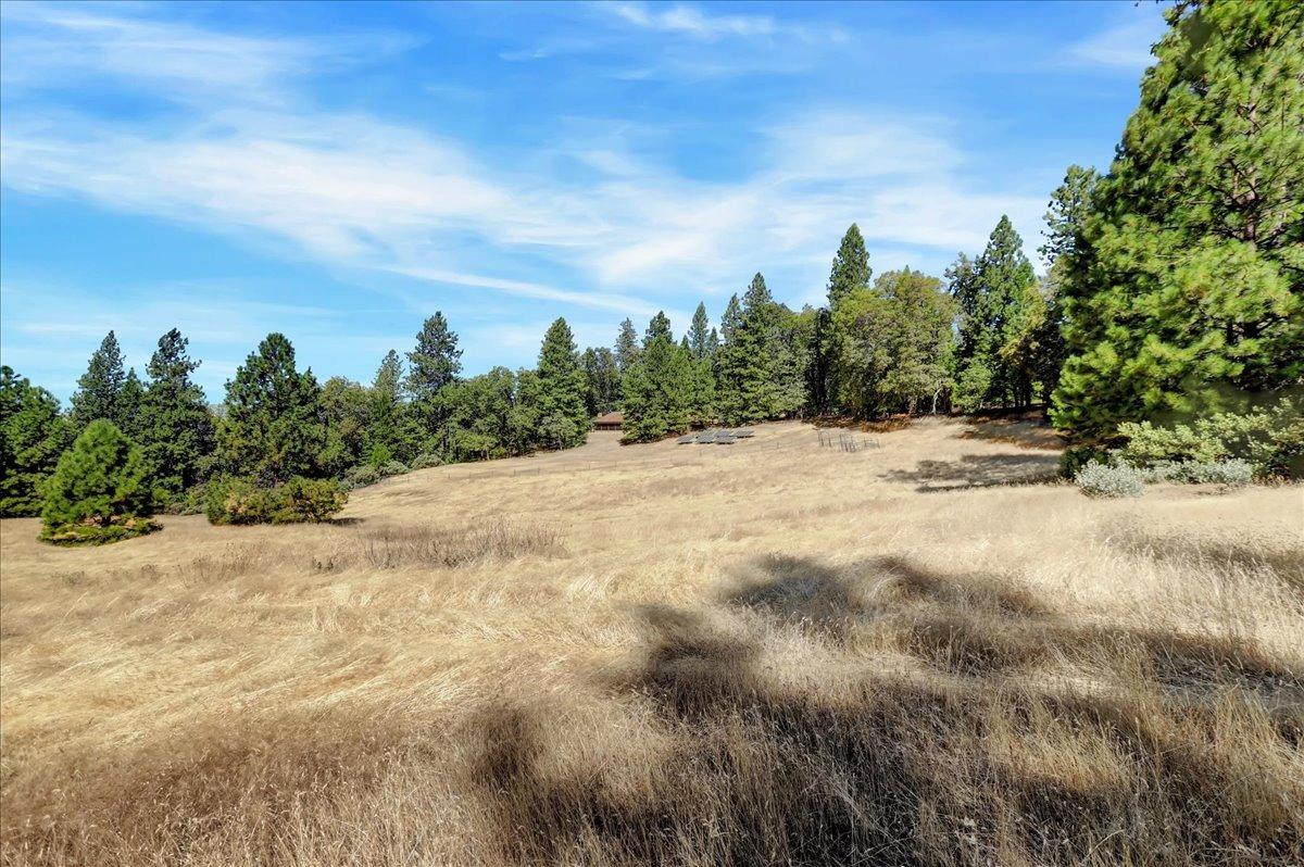 18955 Lake City Road Nevada City, CA 95959 - Photo 94 of 99 a view of a dry yard with trees