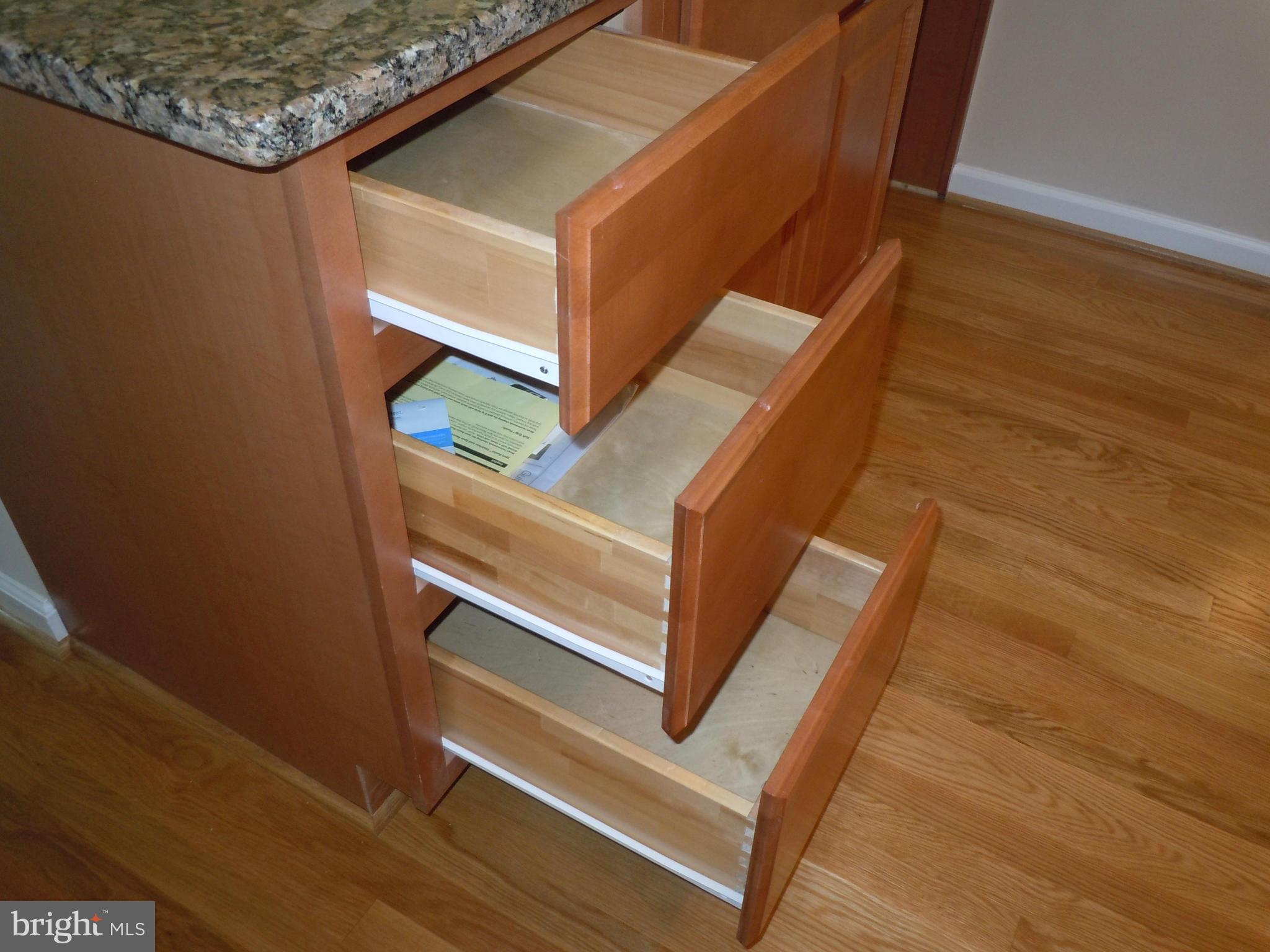 7291 Token Valley Road Manassas, VA 20112 - Photo 13 of 26 Roll Out Drawers