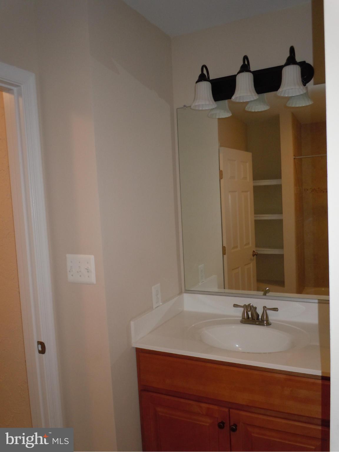 7291 Token Valley Road Manassas, VA 20112 - Photo 22 of 26 Bath #2