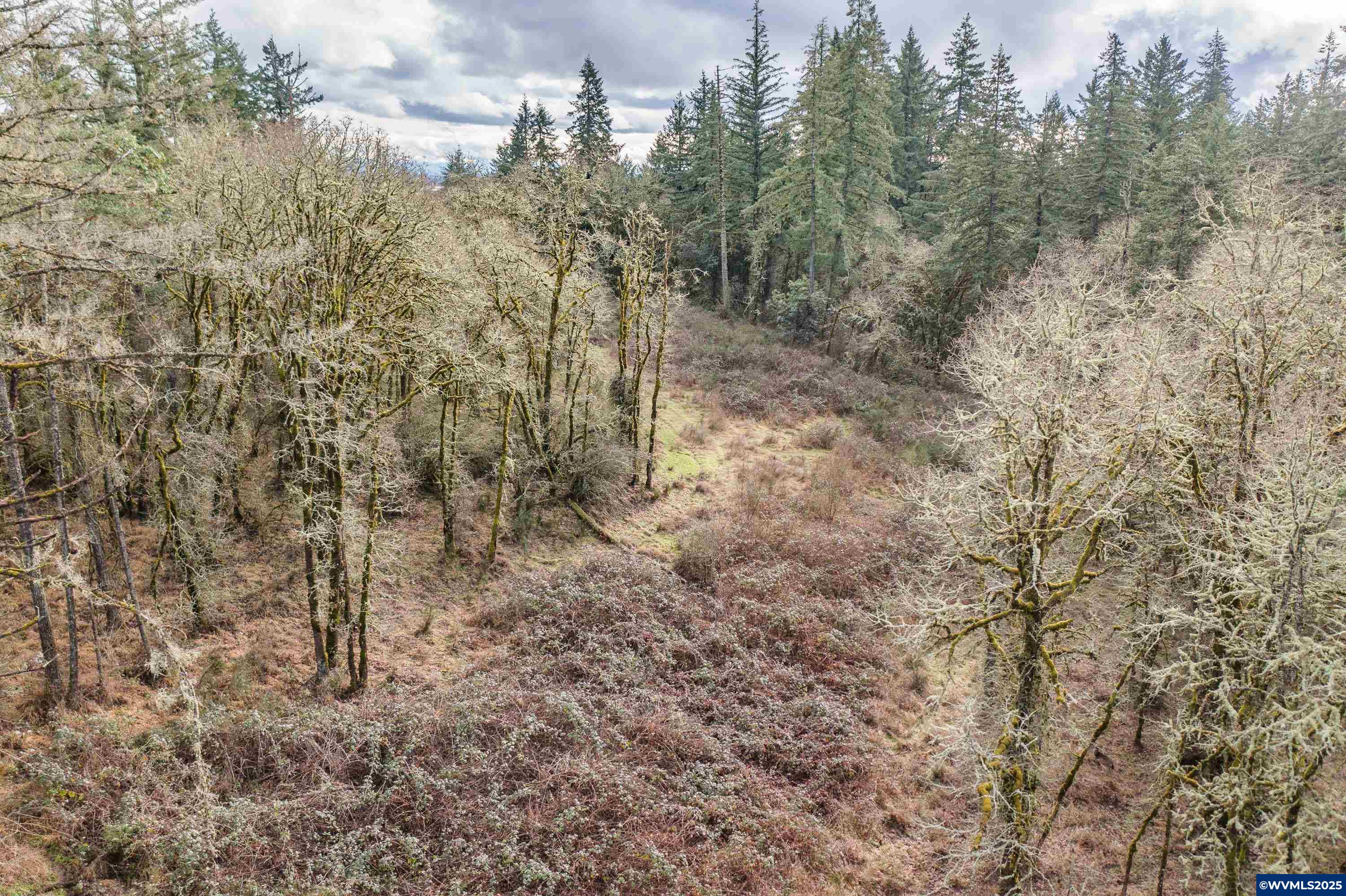 0 Northwest Maier Lane Albany, OR 97321 - Photo 3 of 25