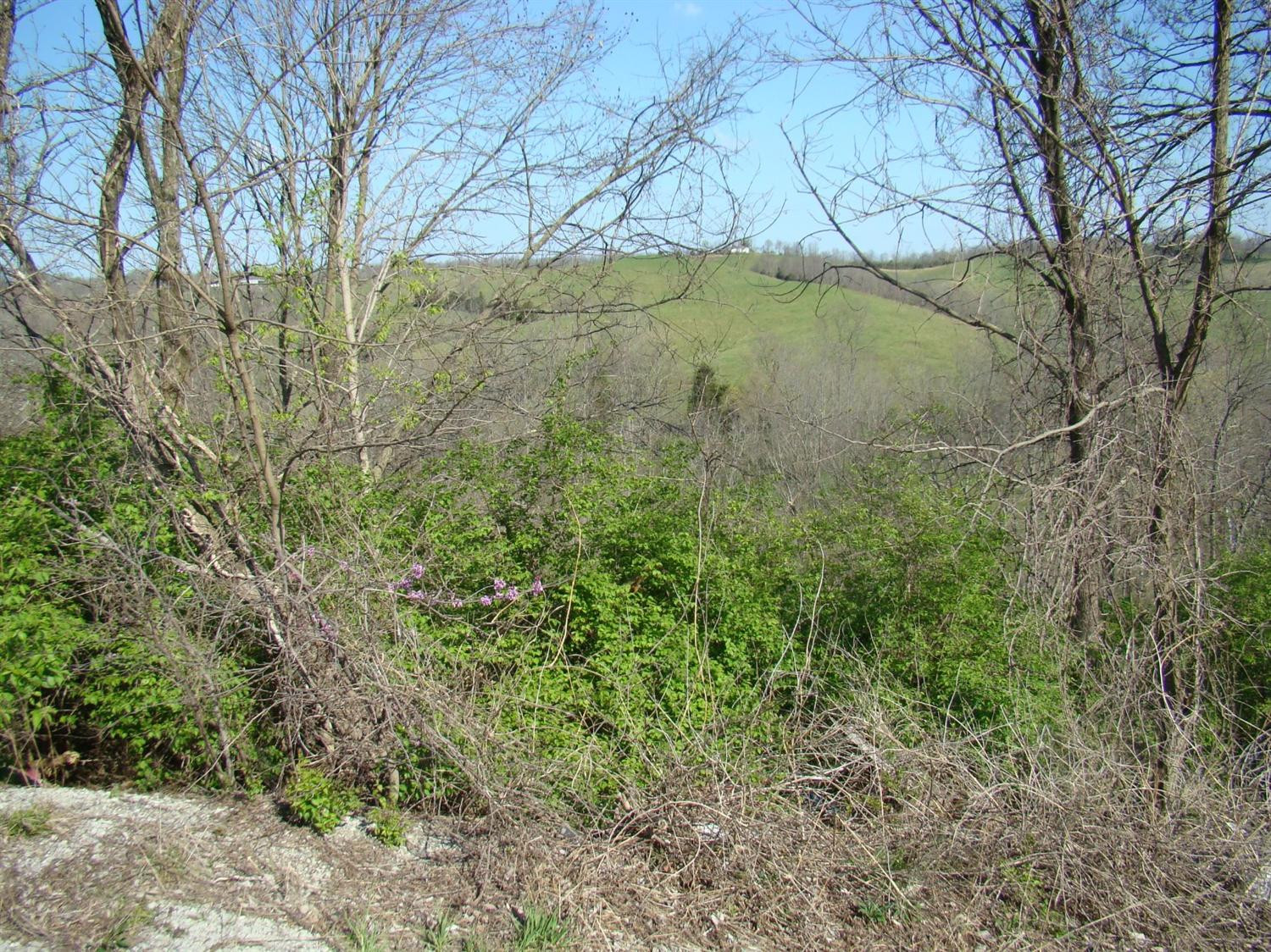 0 Myers Road Carlisle, KY 40311 - Photo 7 of 9 Photo 7