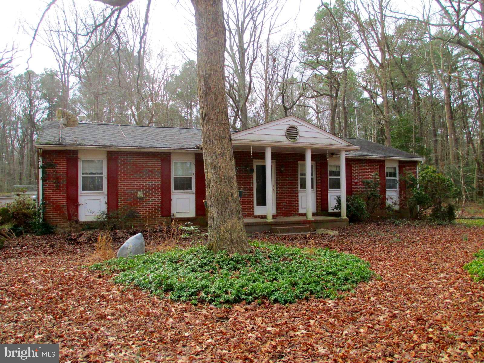 22621 Colonel Leonard Road Rock Hall, MD 21661 - Photo 3 of 25 Gallery Image 3