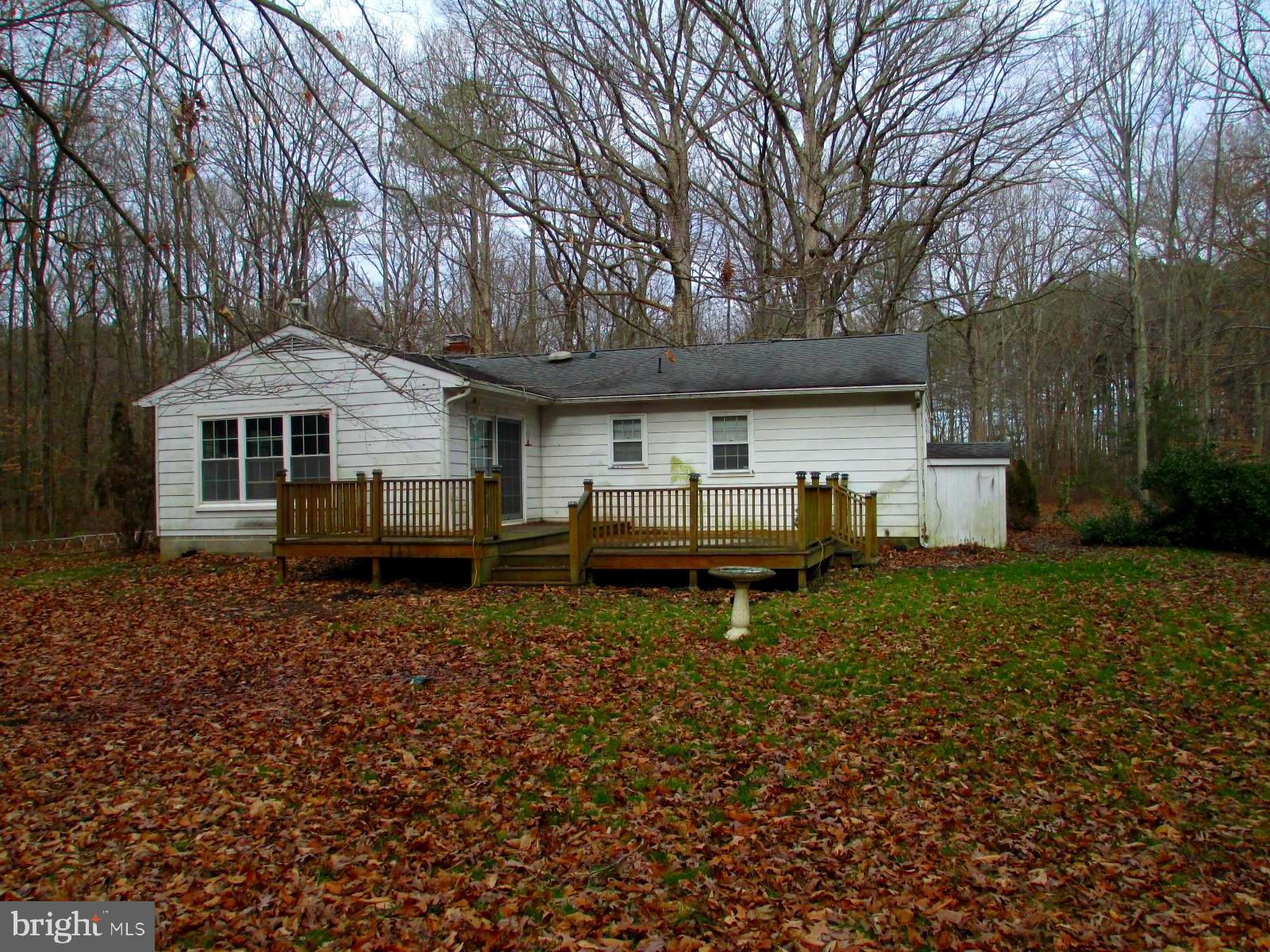 22621 Colonel Leonard Road Rock Hall, MD 21661 - Photo 4 of 25 Back of the house