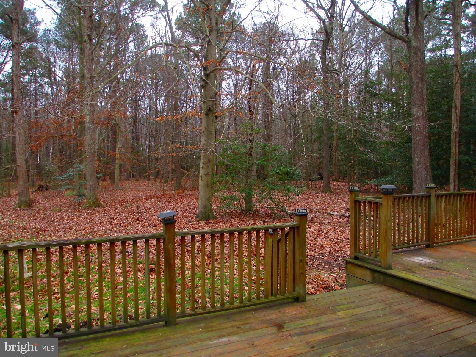 22621 Colonel Leonard Road Rock Hall, MD 21661 - Photo 5 of 25 Deck