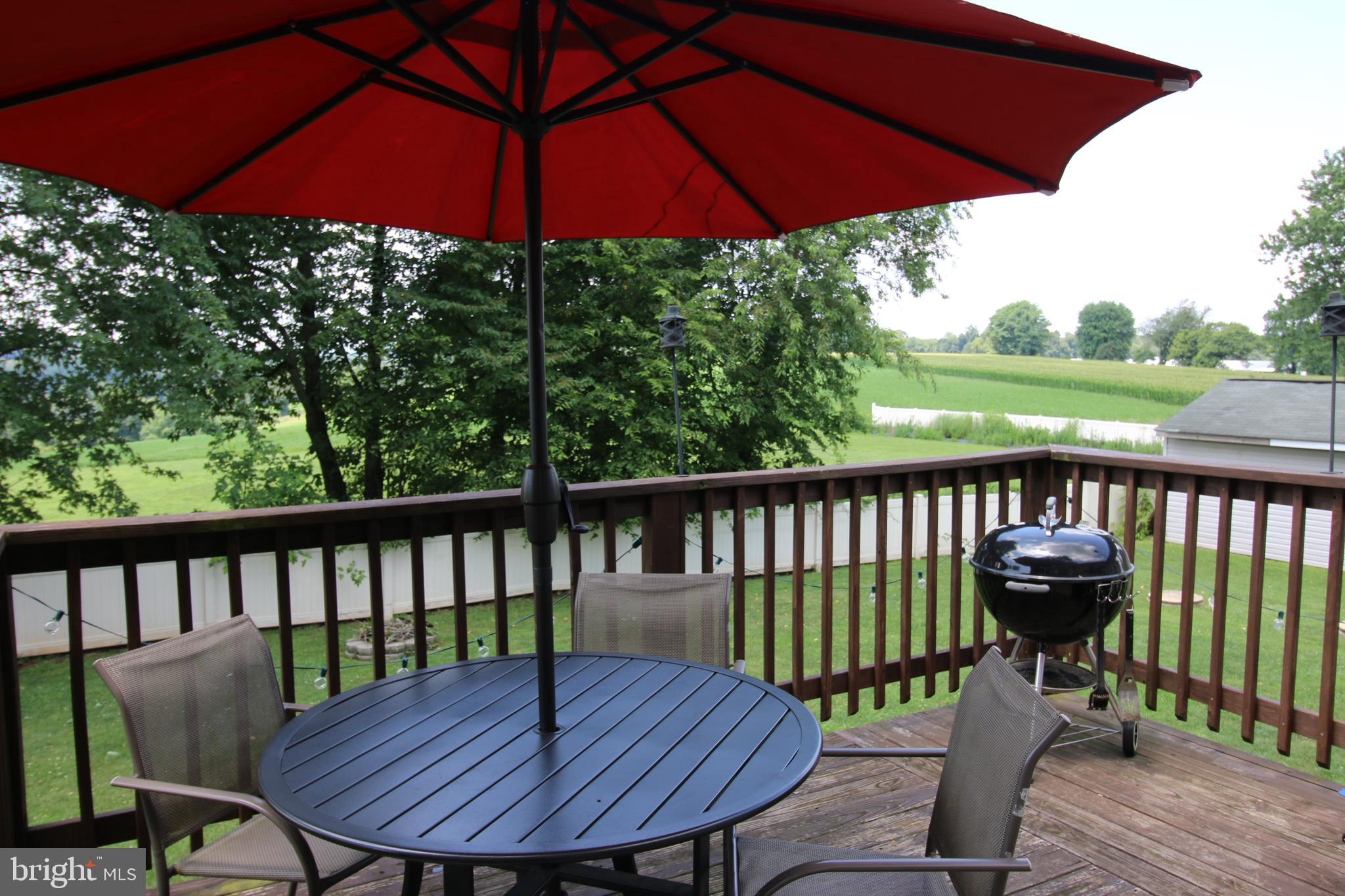 1314 Rawlinsville Road New Providence, PA 17560 - Photo 20 of 22 a view of a chair and table in the patio