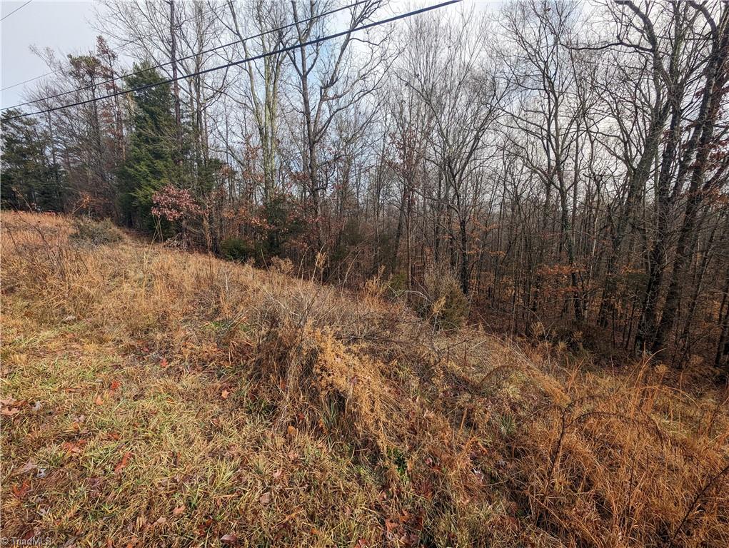 255 Bowers Road Thomasville, NC 27360 - Photo 11 of 12