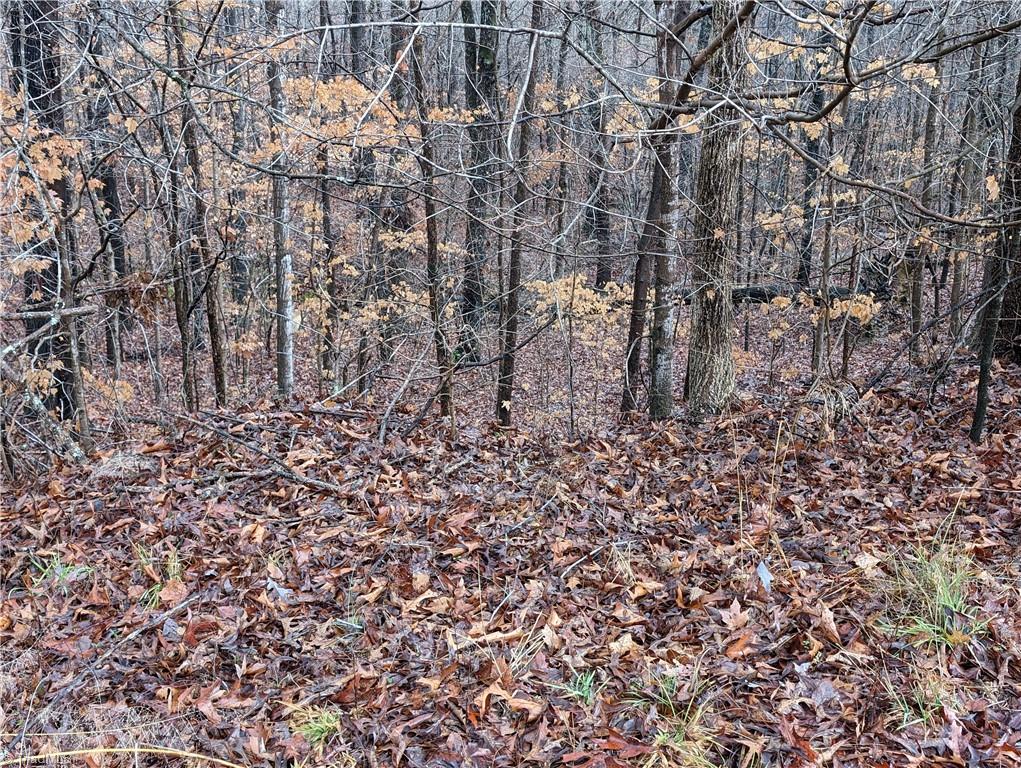 255 Bowers Road Thomasville, NC 27360 - Photo 5 of 12