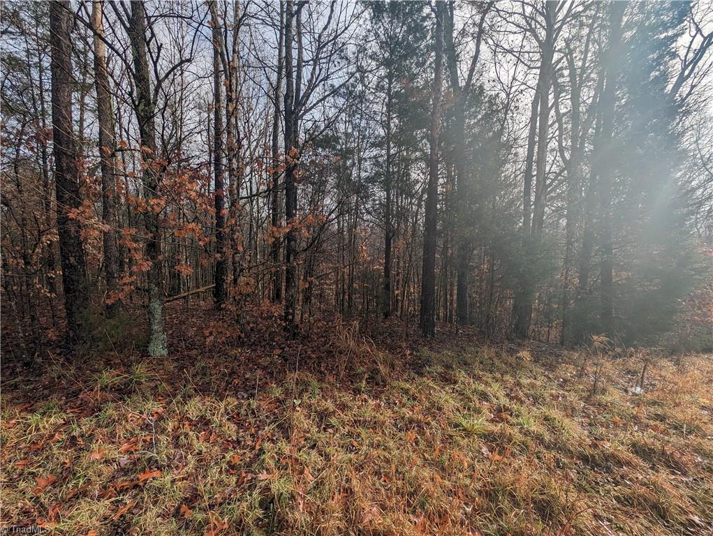 255 Bowers Road Thomasville, NC 27360 - Photo 7 of 12