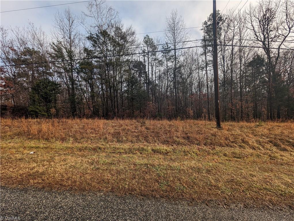 255 Bowers Road Thomasville, NC 27360 - Photo 8 of 12