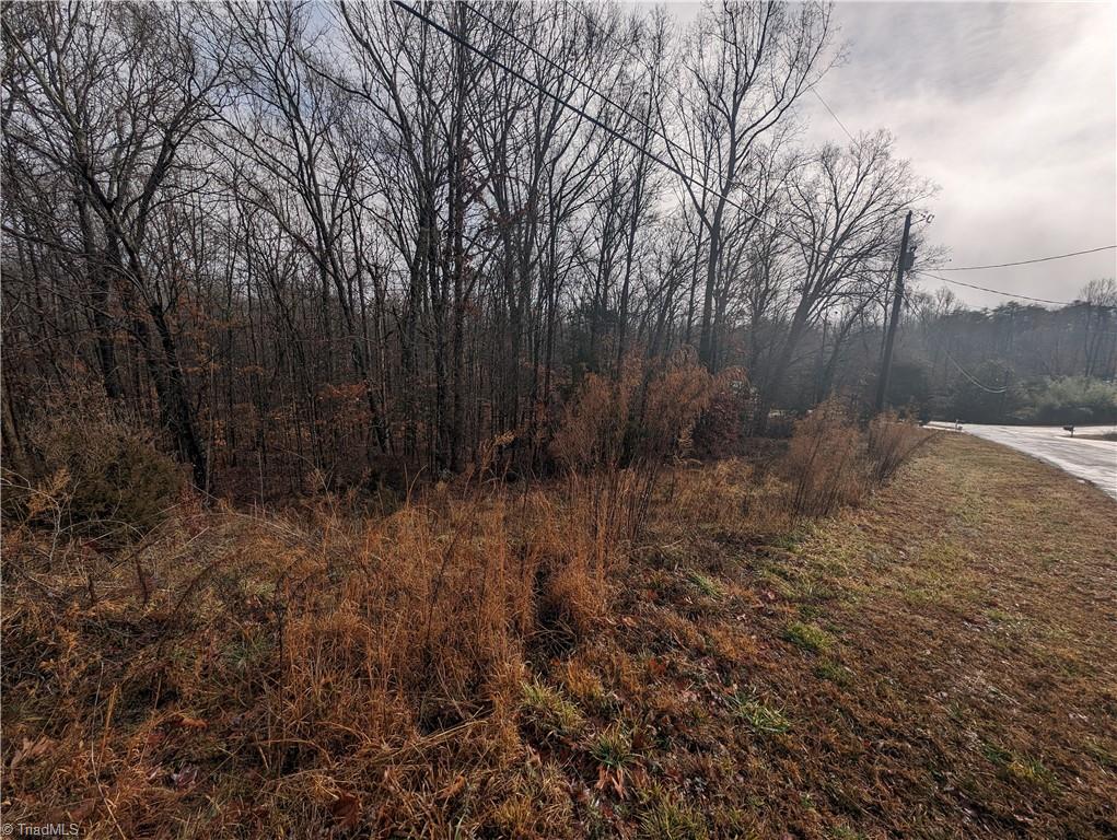 255 Bowers Road Thomasville, NC 27360 - Photo 10 of 12