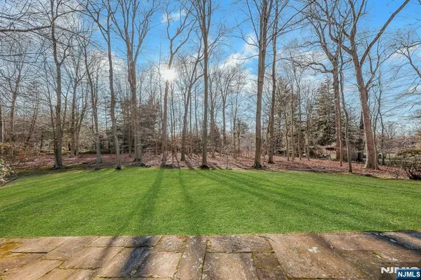 a view of a park with large trees
