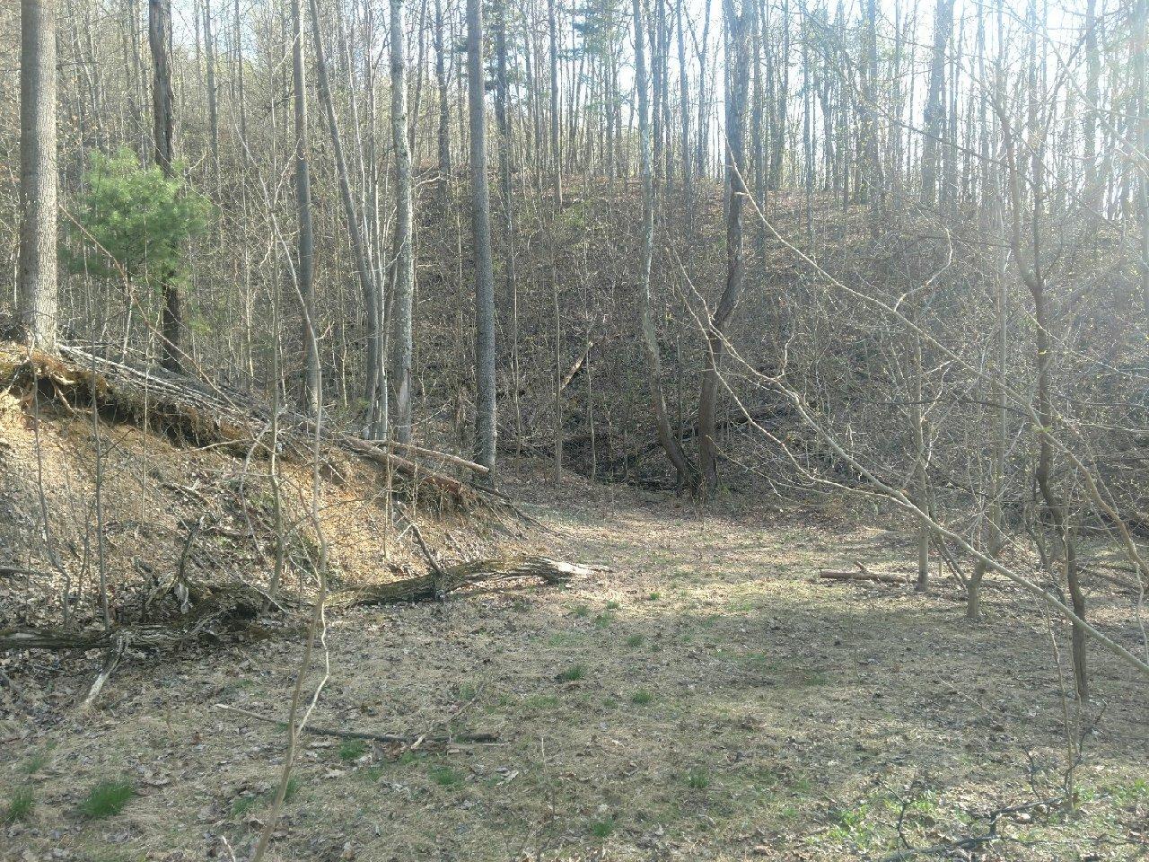0 Zimmerman Road Blue Ridge, VA 24064 - Photo 2 of 5 a view of a backyard