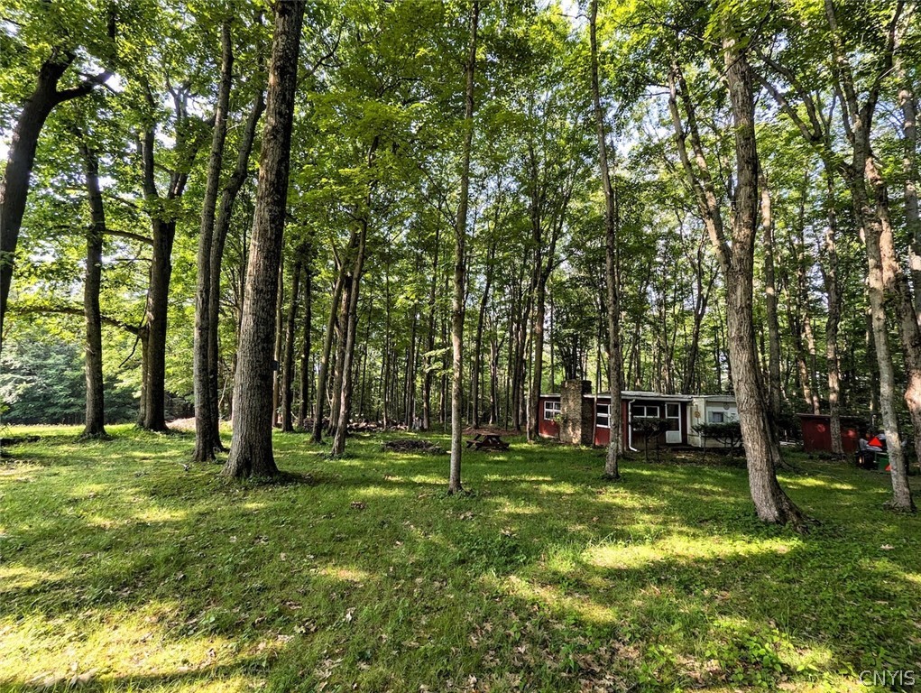 8880 Hemlock Road Wheeler, NY 14809 - Photo 18 of 50