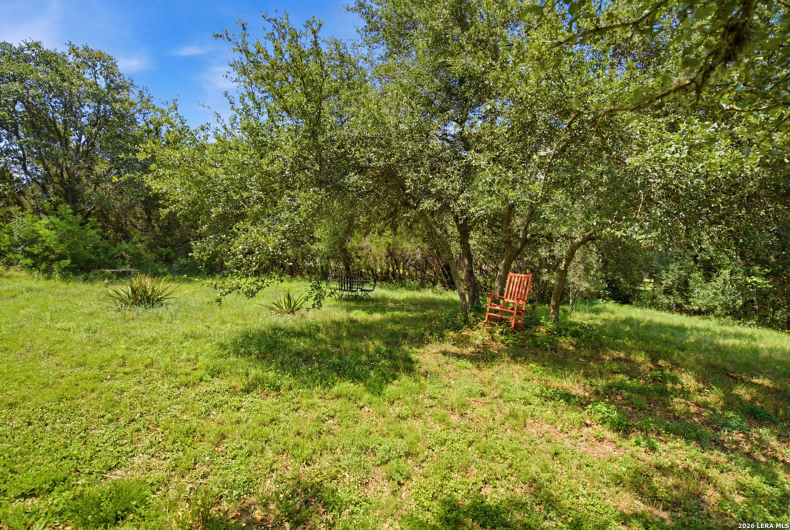 30330 Saddle Ridge Drive Bulverde, TX 78163 - Photo 42 of 48