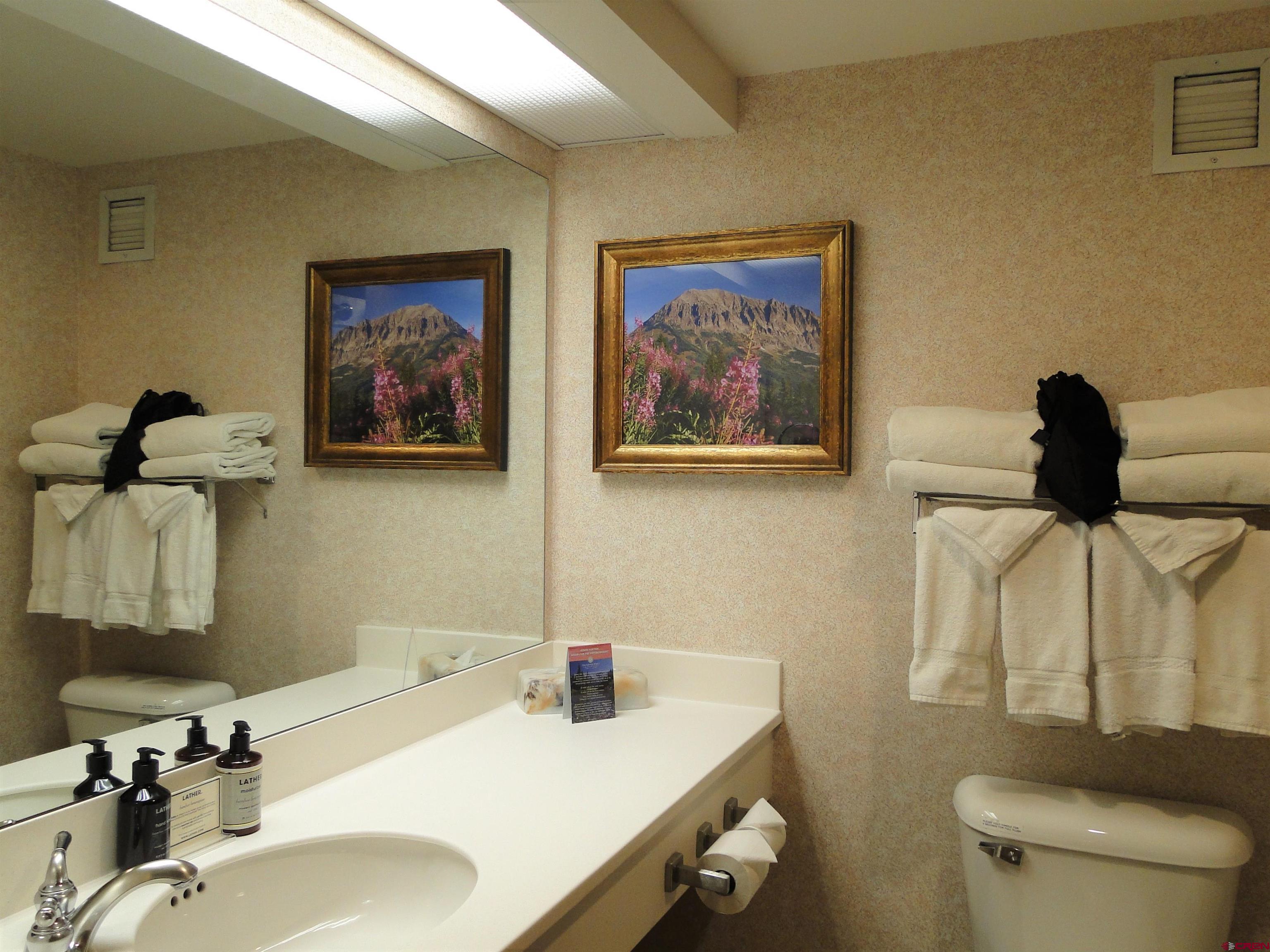 6 Emmons Road, Unit 477 Crested Butte, CO 81225 - Photo 8 of 27 Gallery Image 8