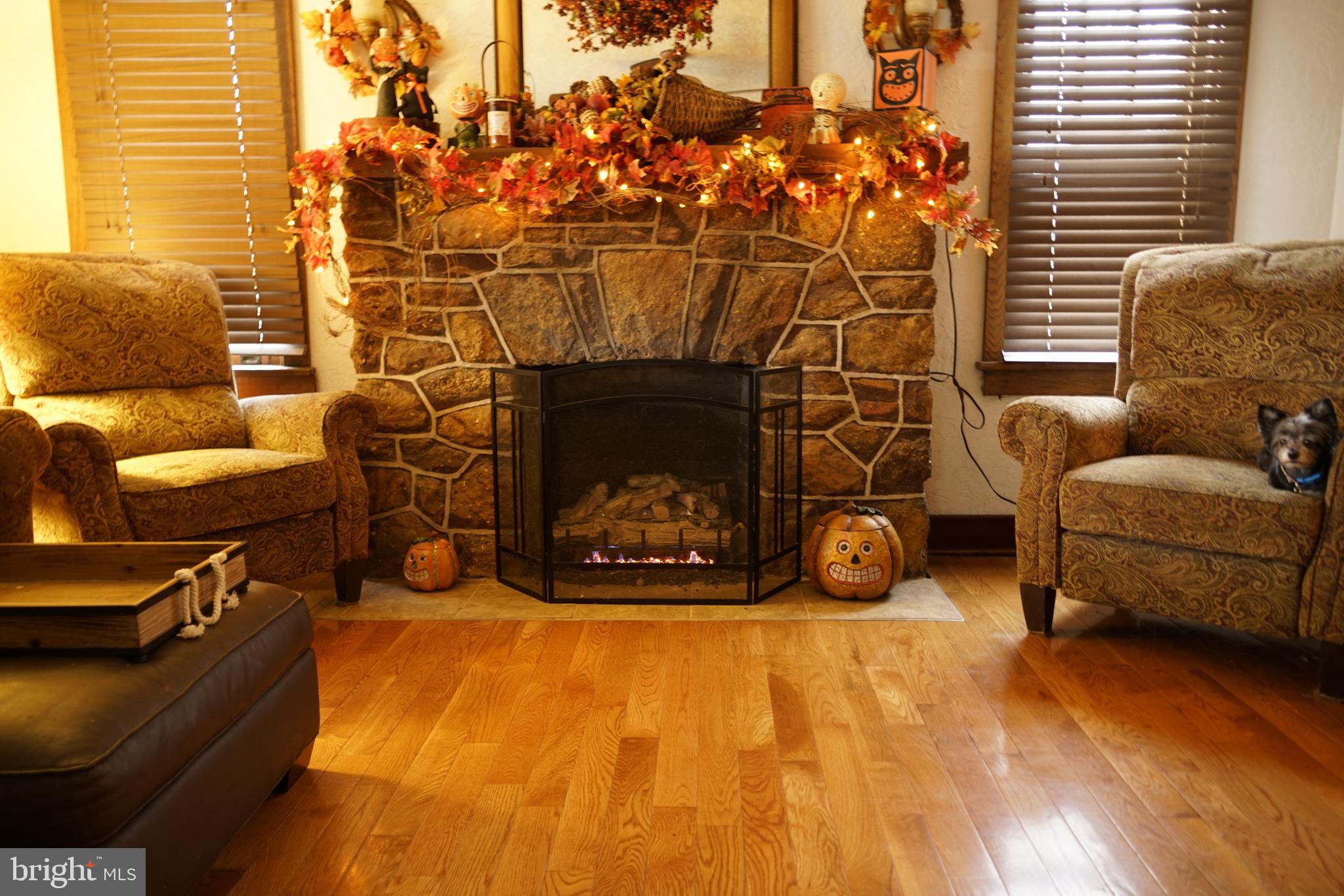 310 Methodist Road Newport, NJ 08345 - Photo 4 of 42