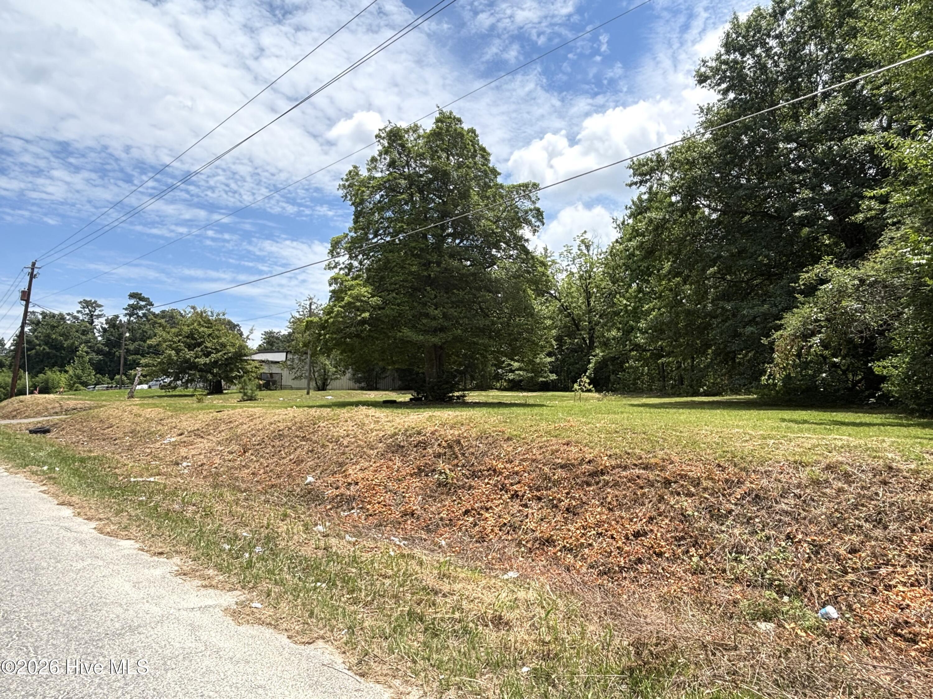 3626 Milledgeville Road Augusta, GA 30906 - Photo 4 of 4