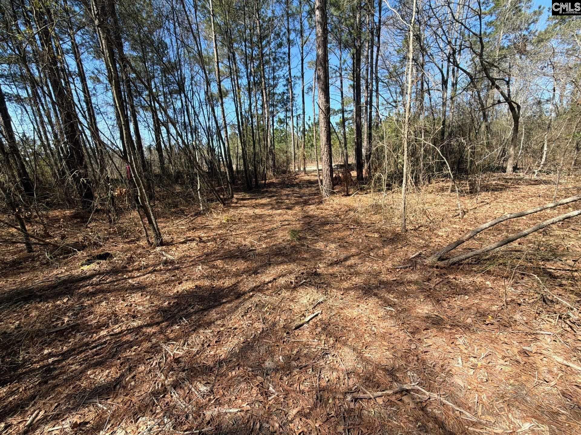 12 Boise Cascade Road, Unit BHL 12 Bethune, SC 29009 - Photo 20 of 20