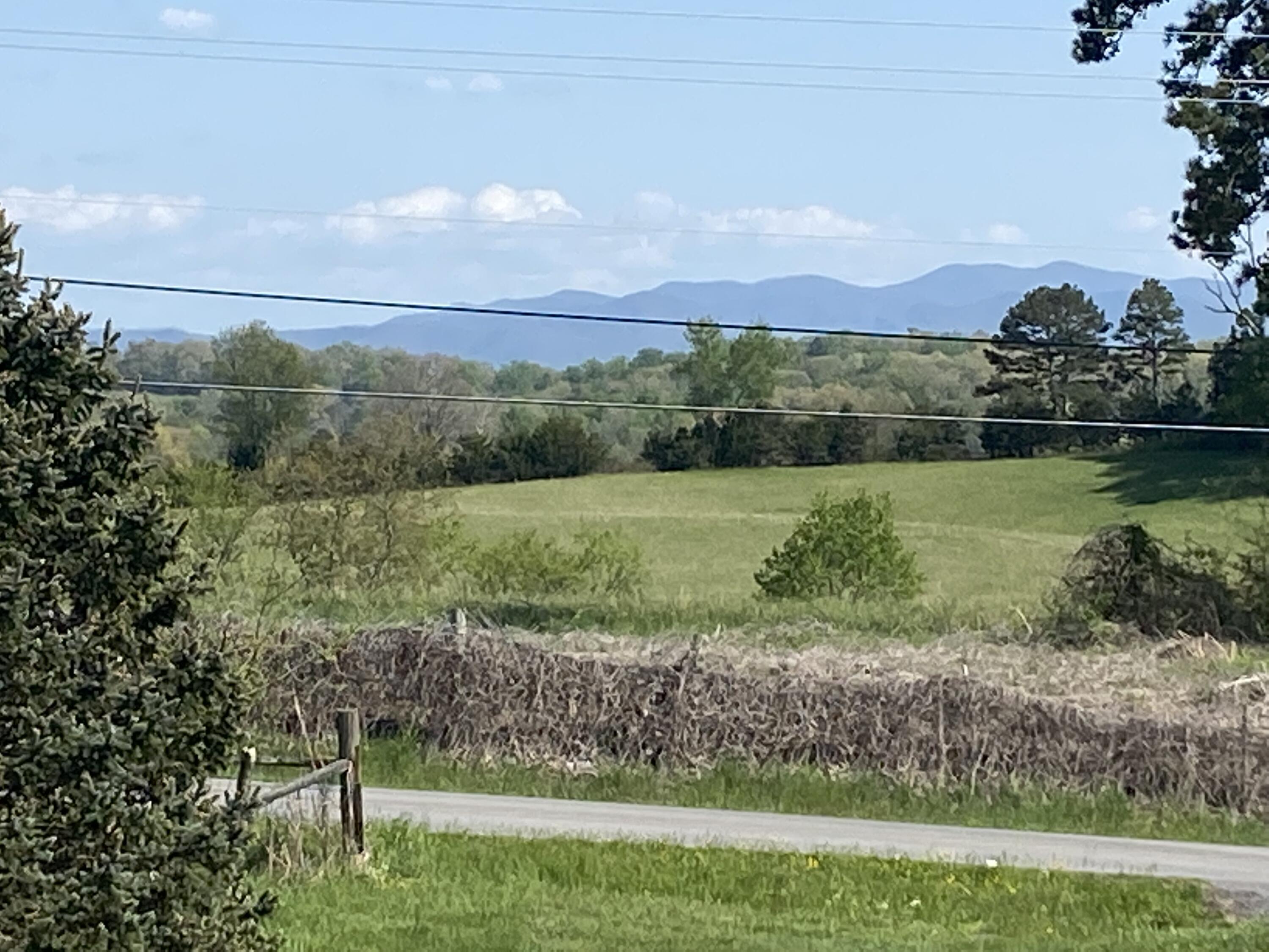 2761 Bright Hope Road Mosheim, TN 37818 - Photo 3 of 10 Floyd mt view
