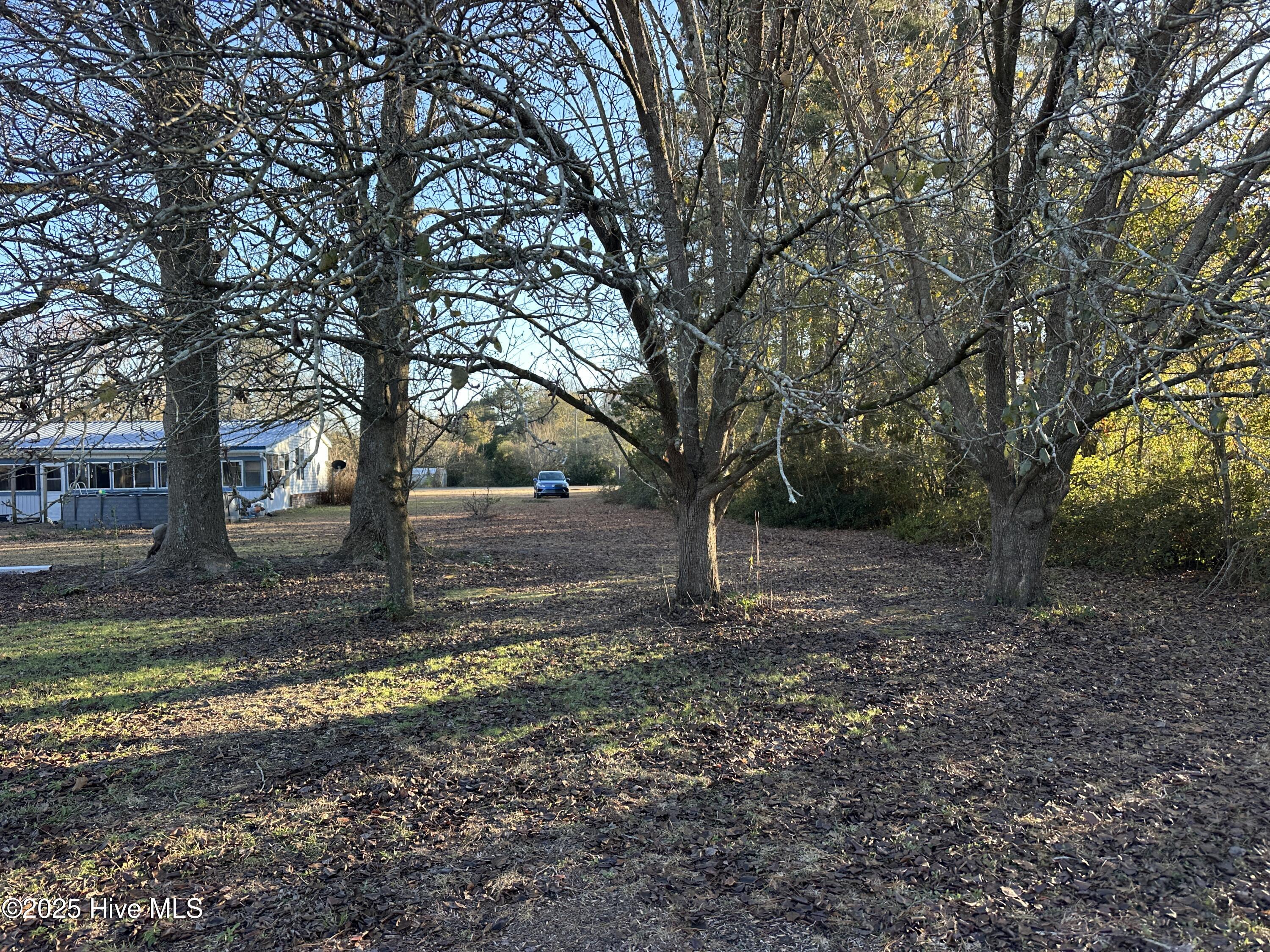814 Luther Banks Road Beulaville, NC 28518 - Photo 5 of 5 Photo 251209 lot - Luthee 814-1