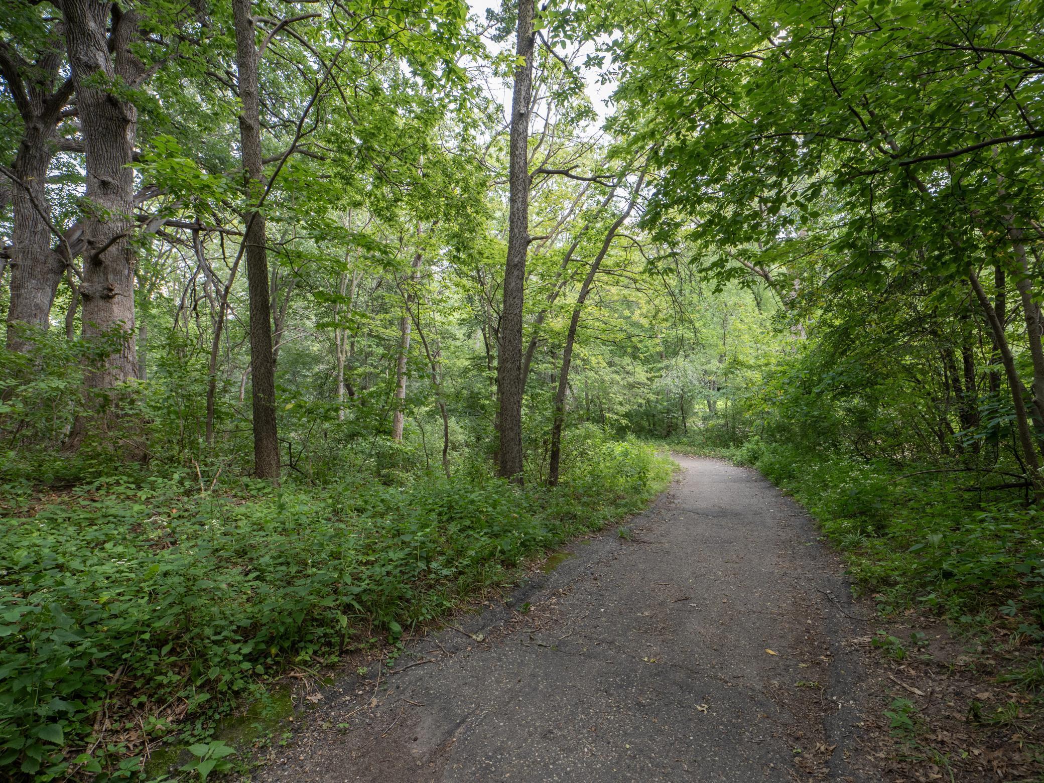 2113 Village Terrace Bloomington, MN 55431 - Photo 38 of 39