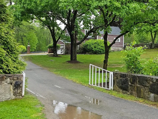 a view of a house with a yard and large tree